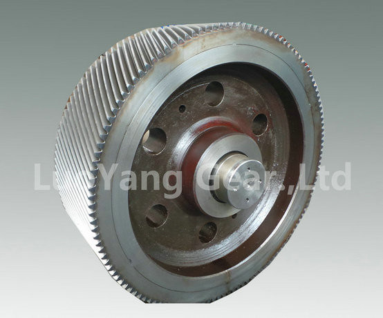 Anello resistente del dente di ingranaggi del metallo dell'acciaio inossidabile mezzo per macchinario di macinazione